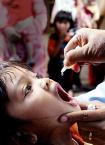 Polio vaccine.jpg