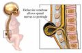 Thumbnail for version as of 01:32, 20 July 2010
